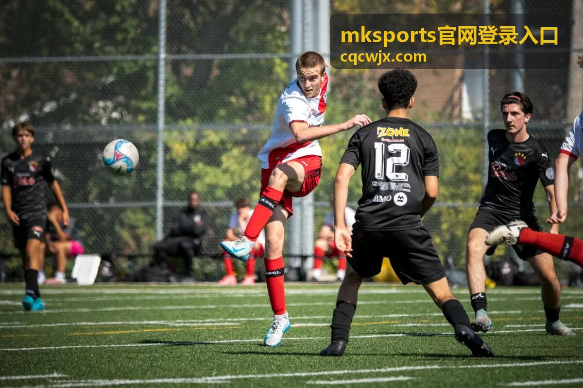 mksports官网登录入口网络环境检查图示