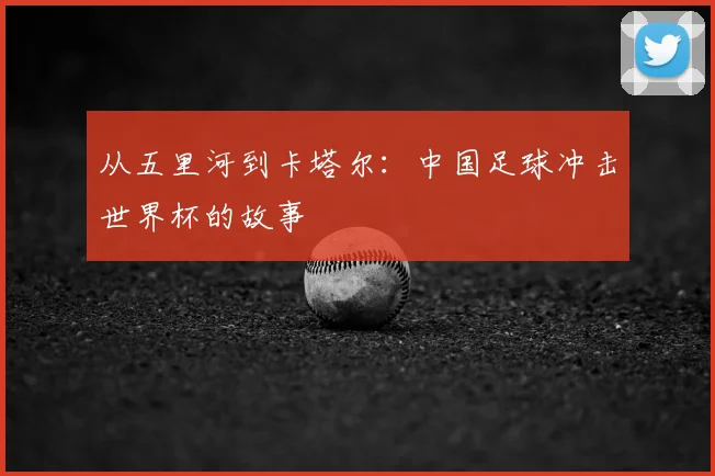 从五里河到卡塔尔：中国足球冲击世界杯的故事