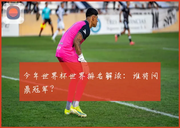 今年世界杯世界排名解读:谁将问鼎冠军?