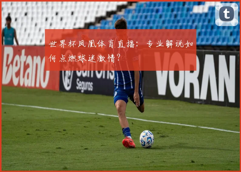 世界杯凤凰体育直播:专业解说如何点燃球迷激情?