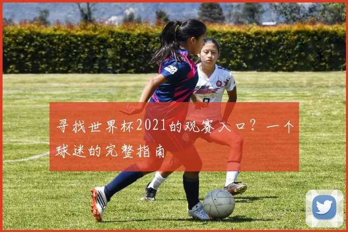 寻找世界杯2021的观赛入口？一个球迷的完整指南