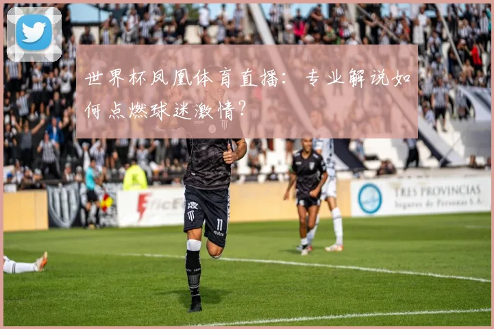 世界杯凤凰体育直播:专业解说如何点燃球迷激情?