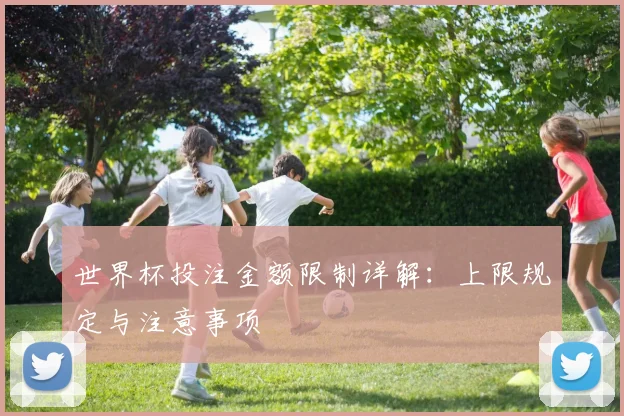 世界杯投注金额限制详解：上限规定与注意事项