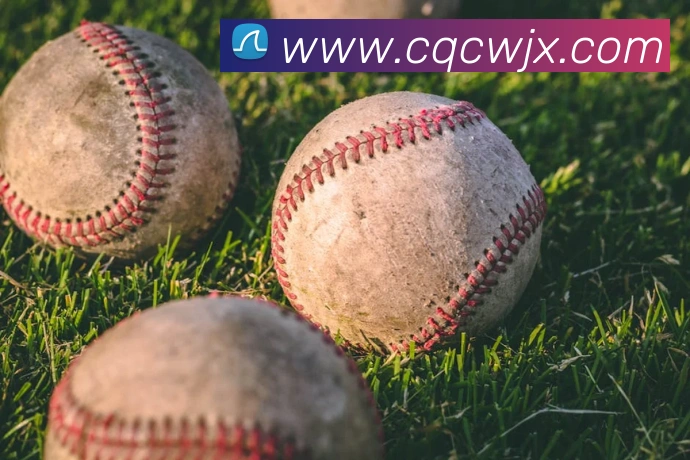 开云kaiyun体育app注册流程平台生态图